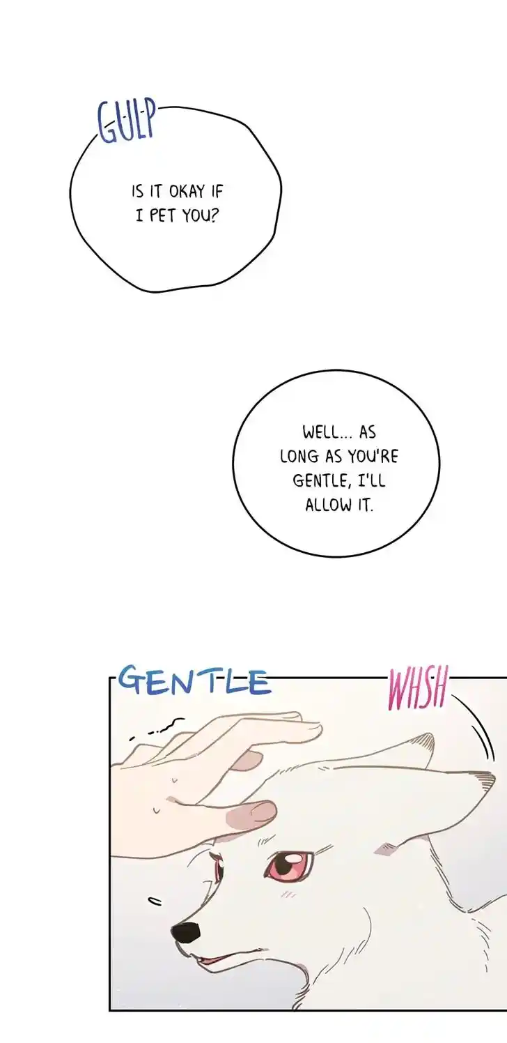 An Animal Hospital in the Border Area Ch.061