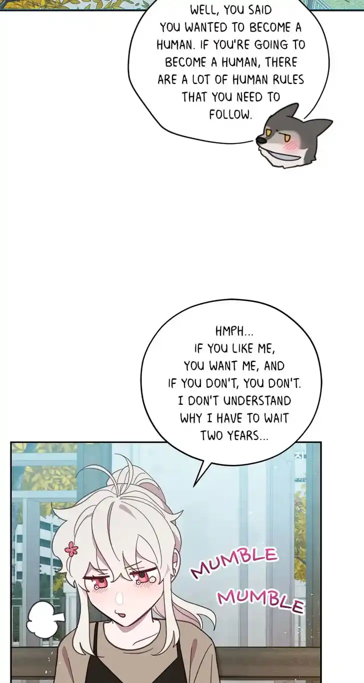 An Animal Hospital in the Border Area Ch.069