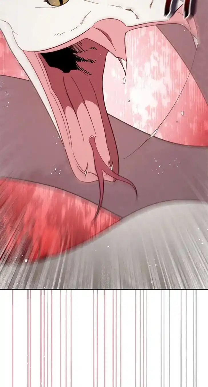 An Animal Hospital in the Border Area Ch.070