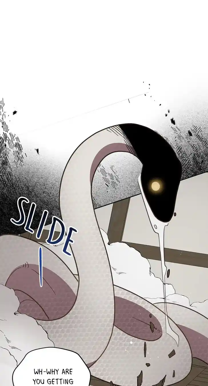 An Animal Hospital in the Border Area Ch.070