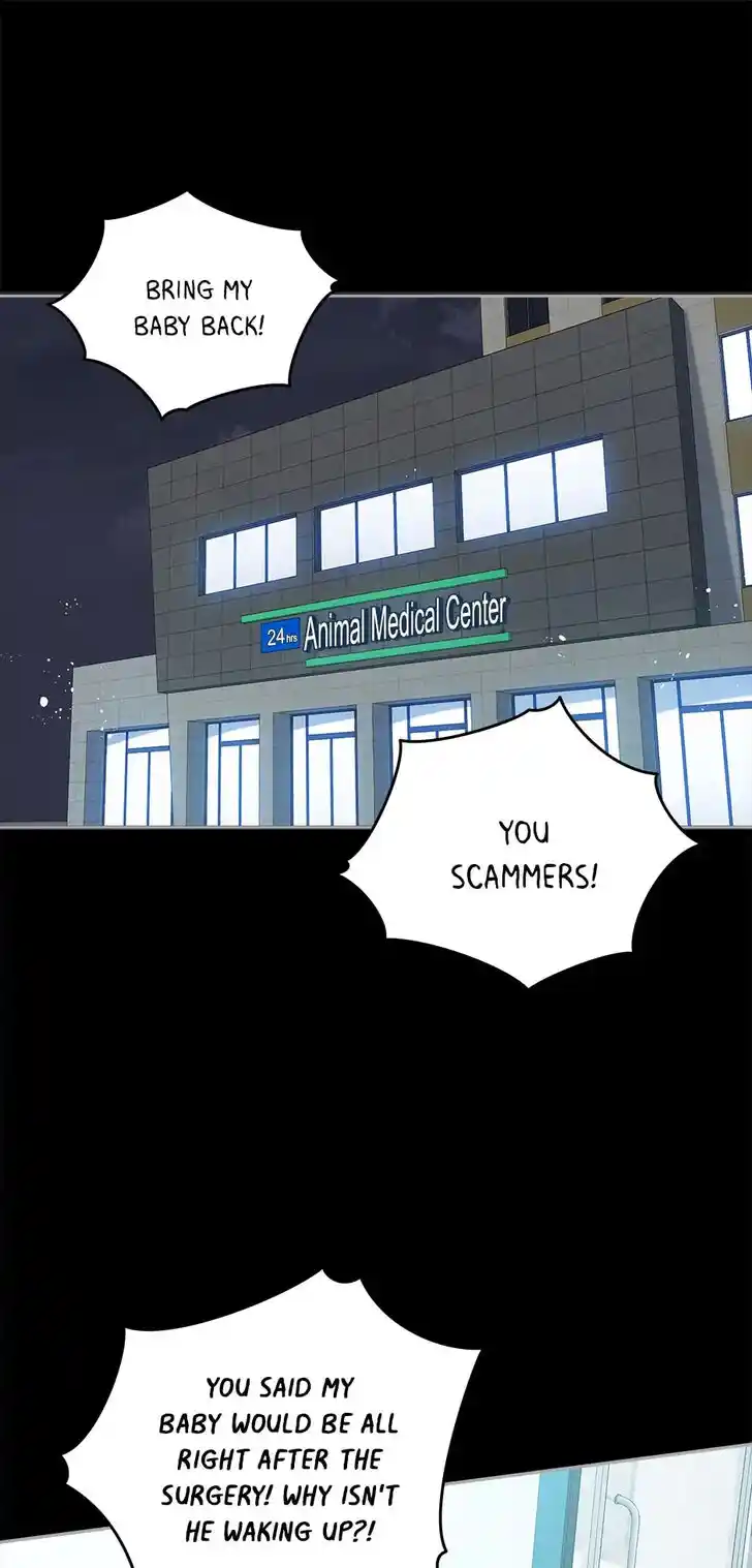 An Animal Hospital in the Border Area Ch.072