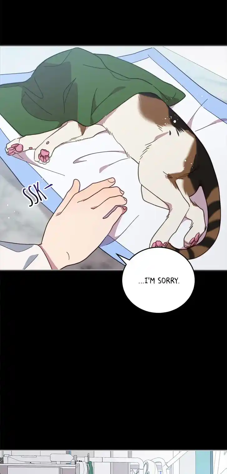 An Animal Hospital in the Border Area Ch.072