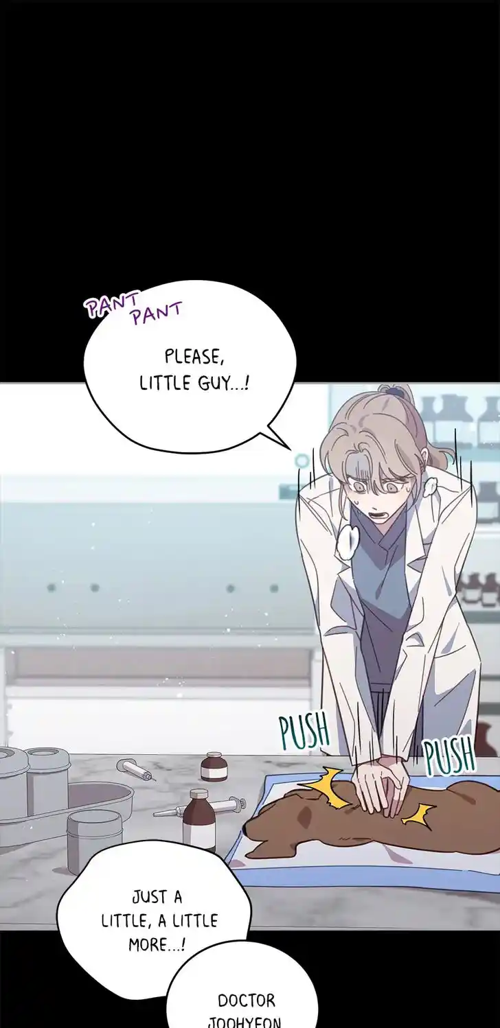 An Animal Hospital in the Border Area Ch.072