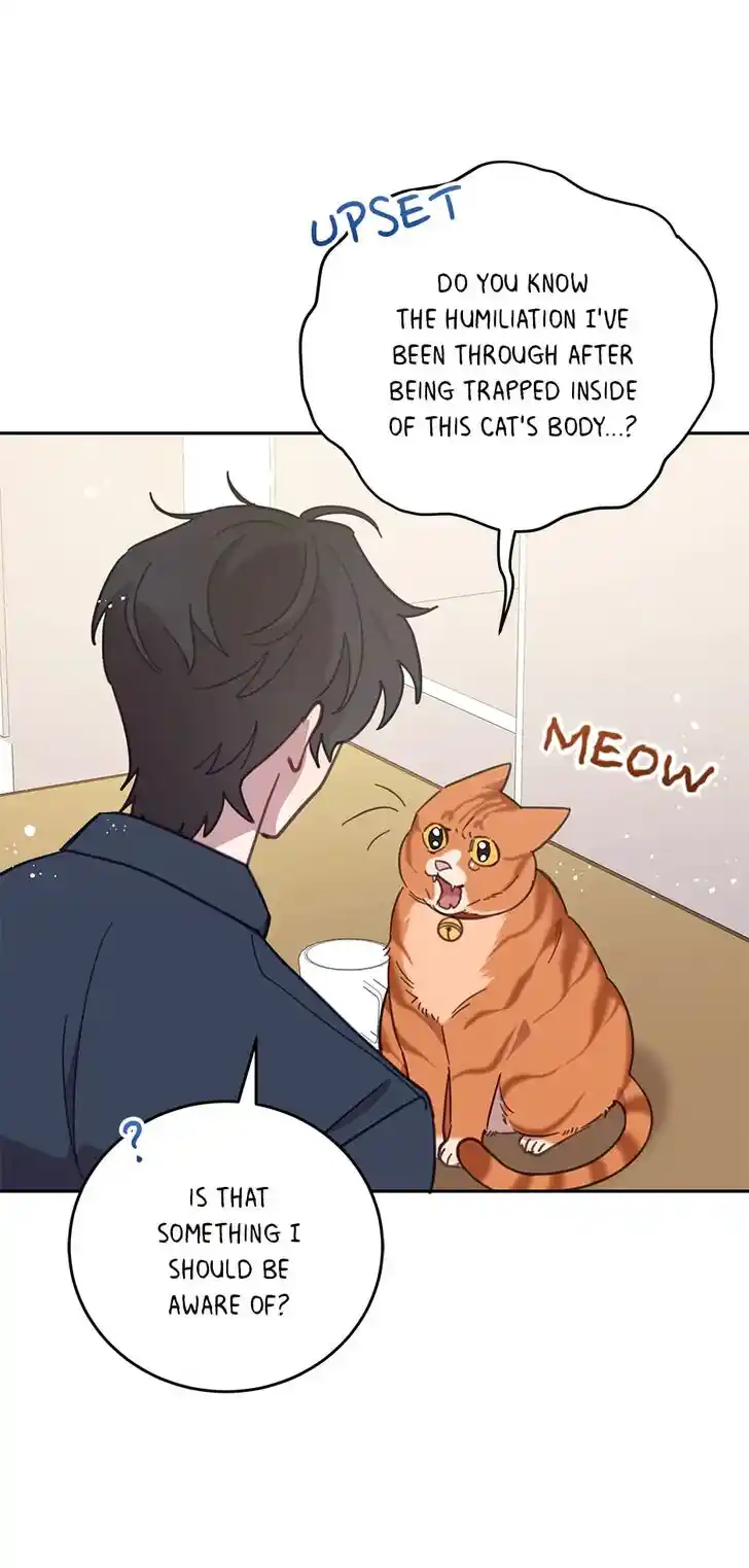 An Animal Hospital in the Border Area Ch.073