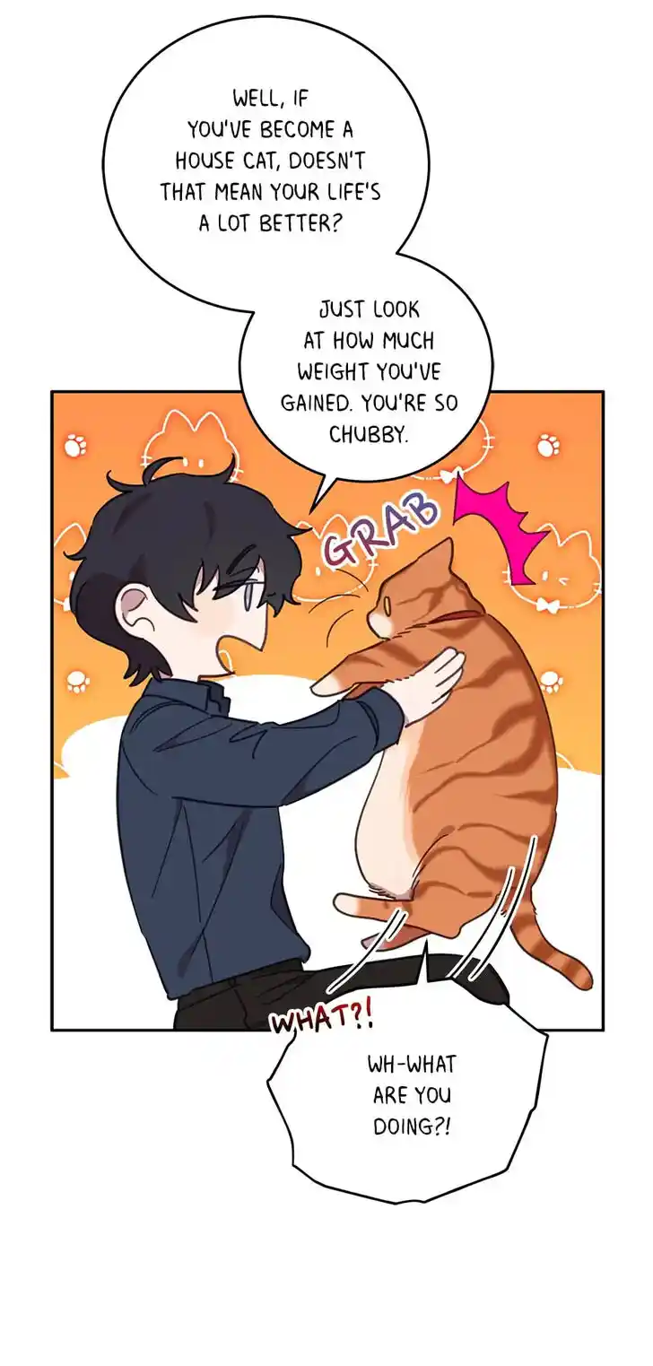 An Animal Hospital in the Border Area Ch.073