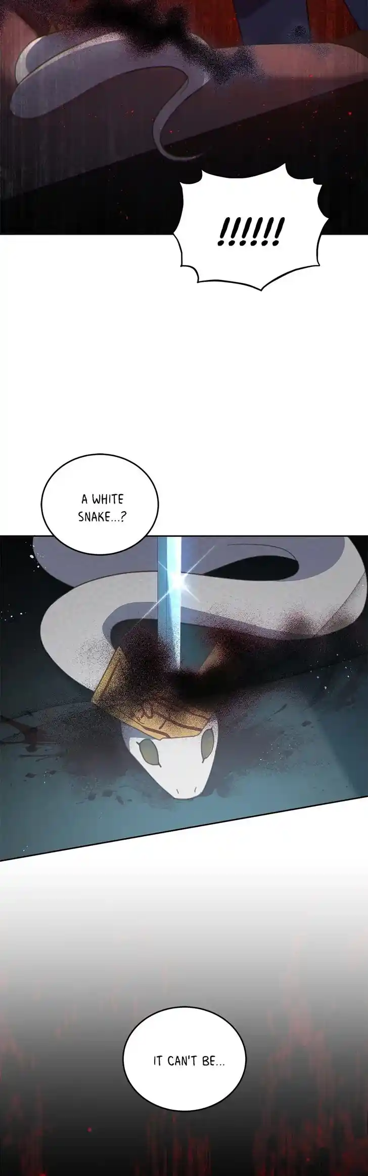 An Animal Hospital in the Border Area Ch.081