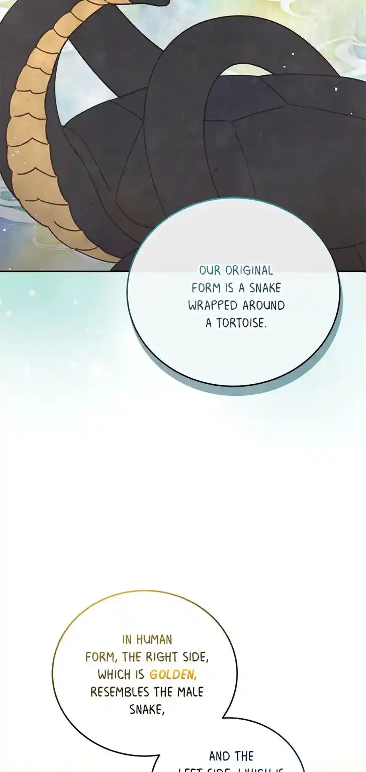 An Animal Hospital in the Border Area Ch.088