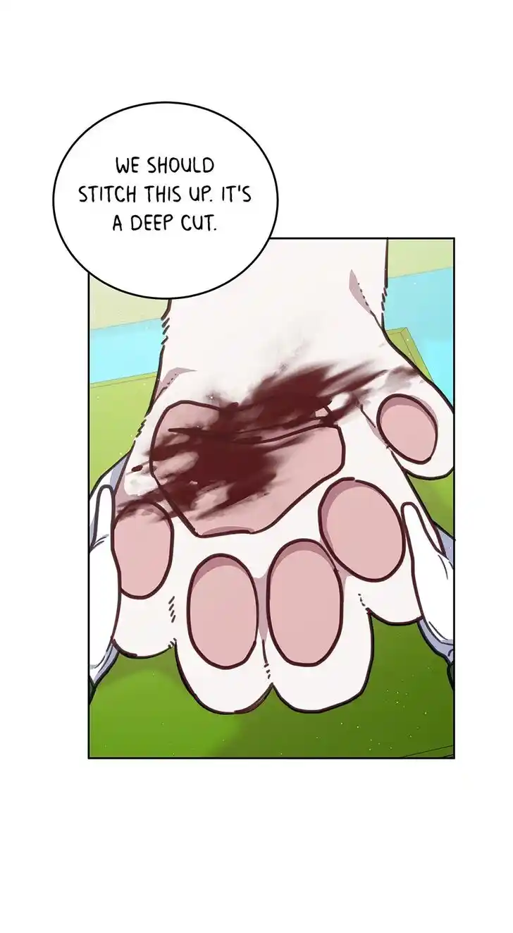 An Animal Hospital in the Border Area Ch.109