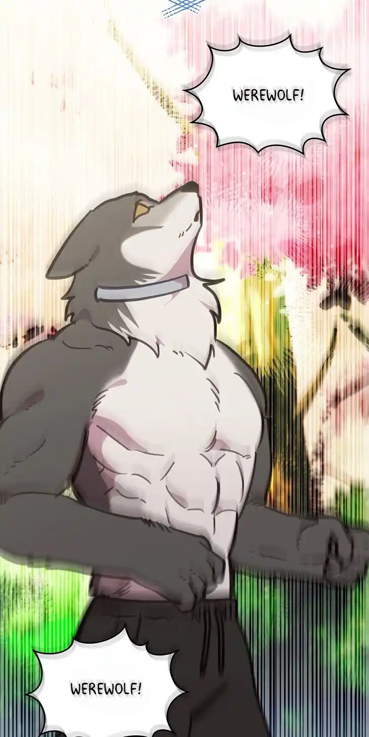 An Animal Hospital in the Border Area Ch.110