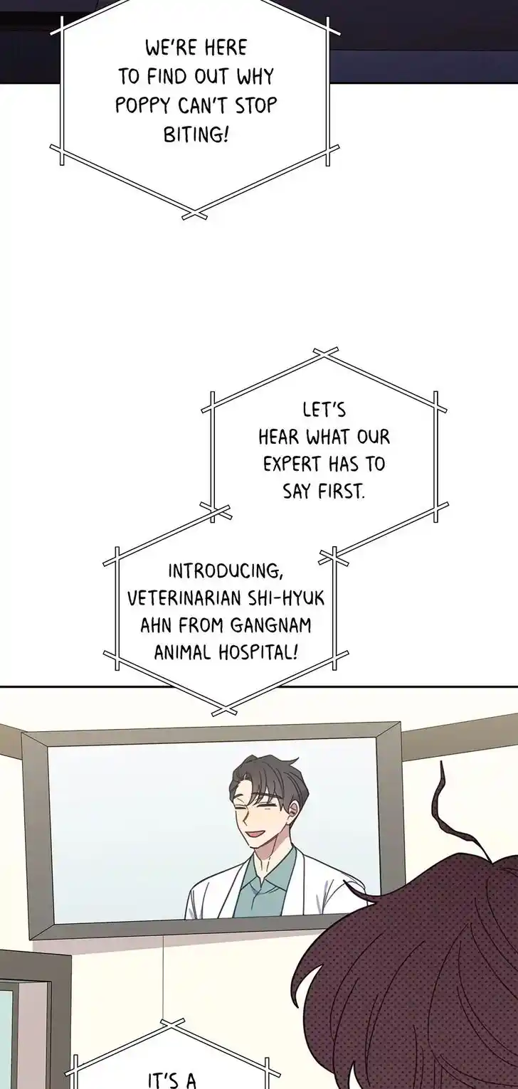 An Animal Hospital in the Border Area Ch.113