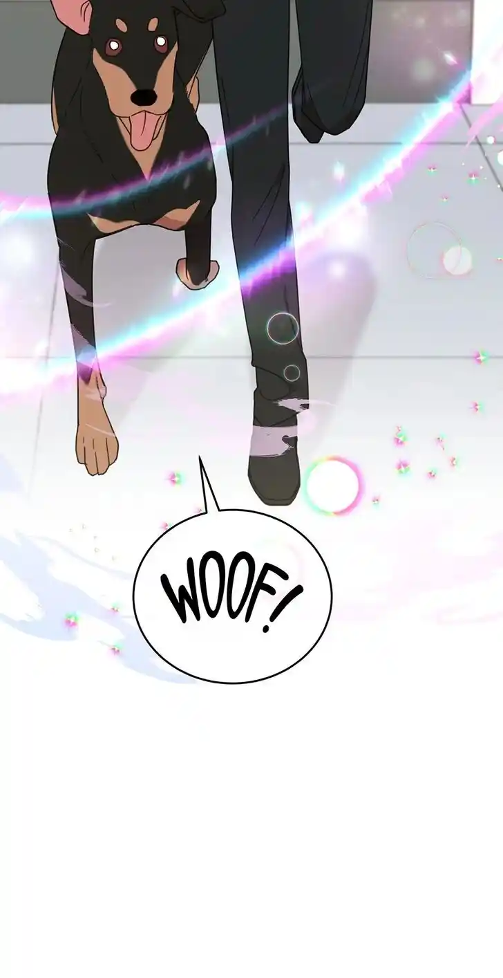 An Animal Hospital in the Border Area Ch.113