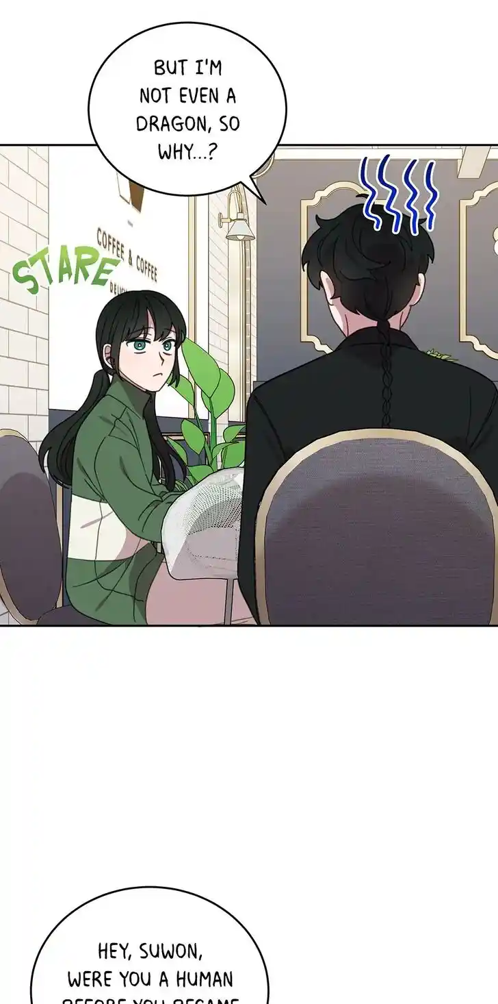 An Animal Hospital in the Border Area Ch.114