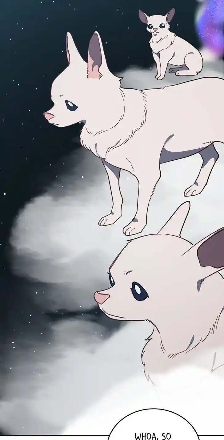 An Animal Hospital in the Border Area Ch.114