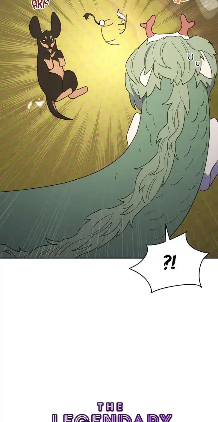 An Animal Hospital in the Border Area Ch.115