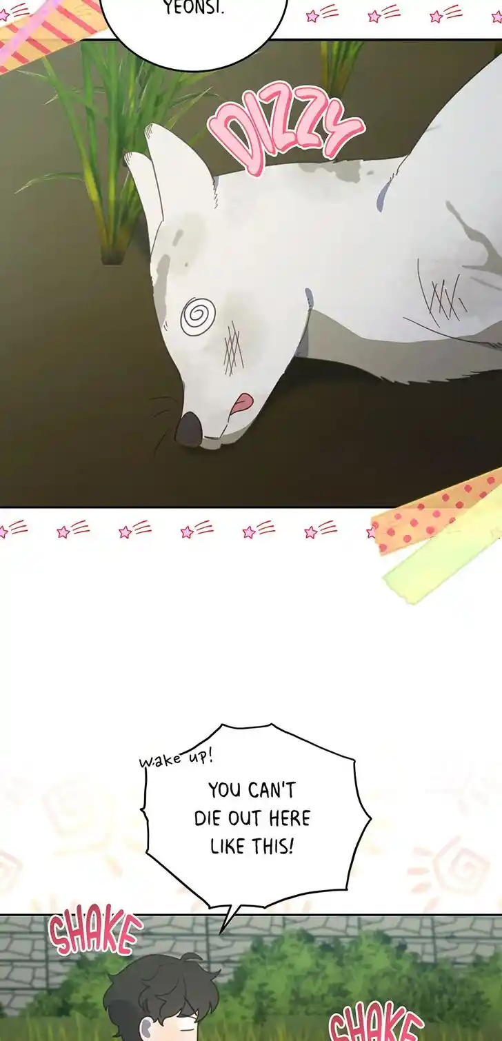 An Animal Hospital in the Border Area Ch.115