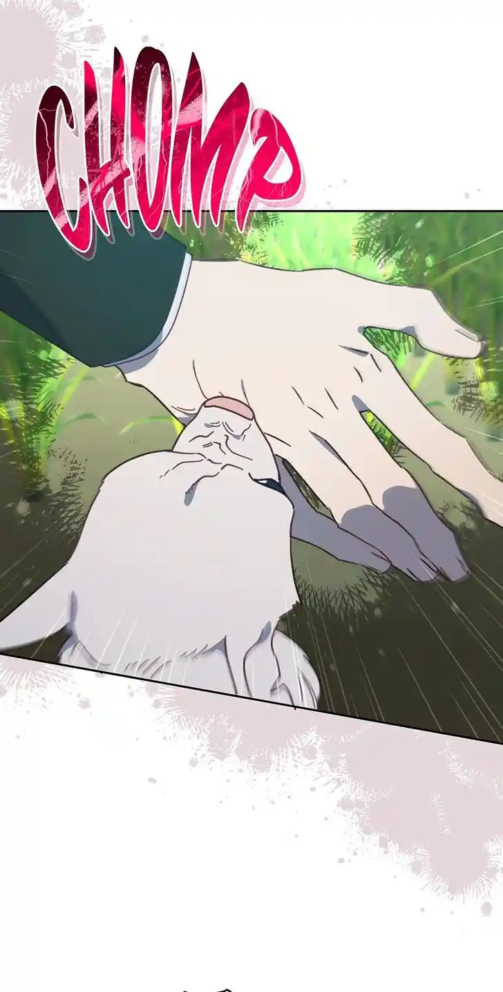 An Animal Hospital in the Border Area Ch.115