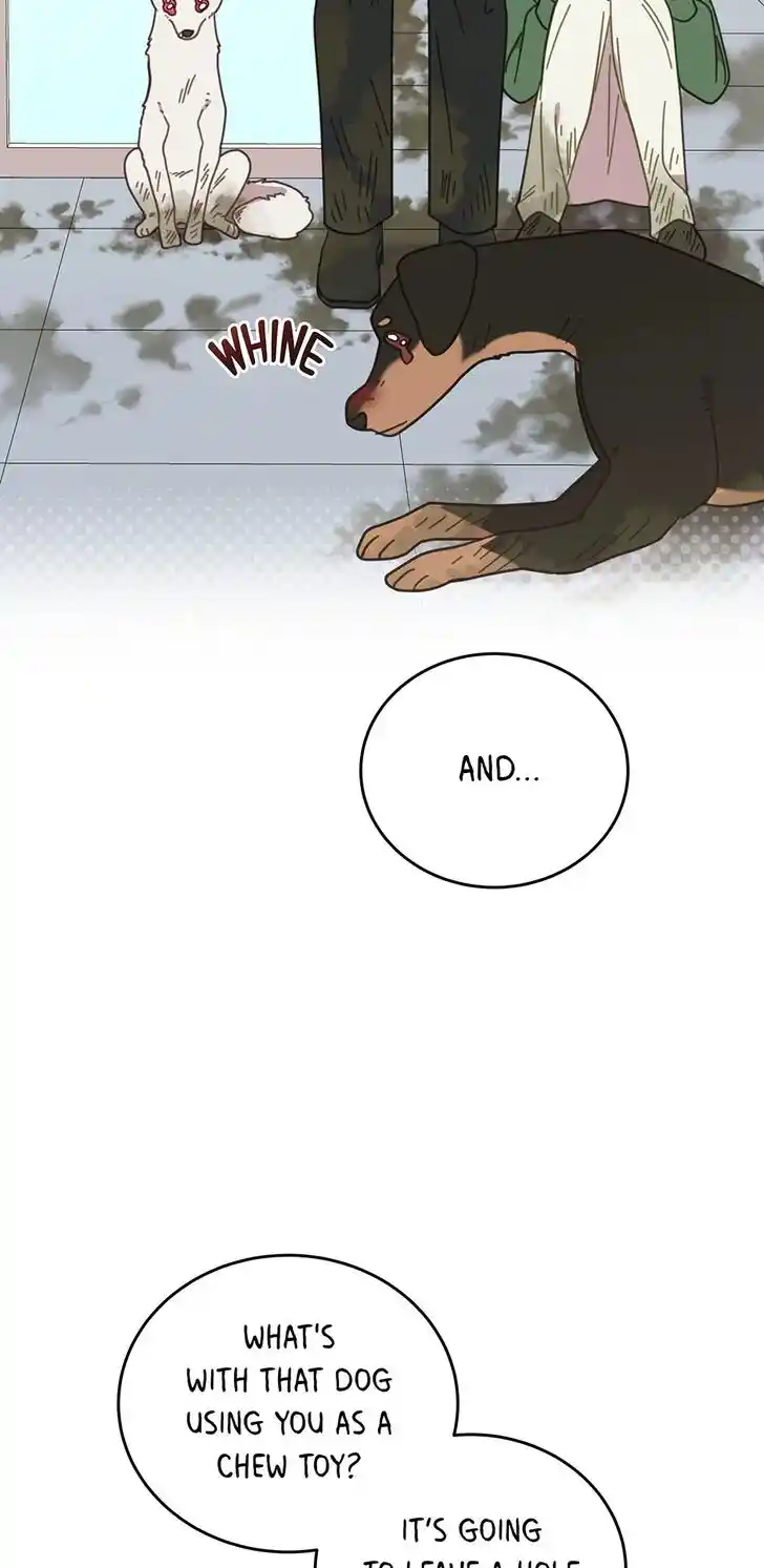 An Animal Hospital in the Border Area Ch.115