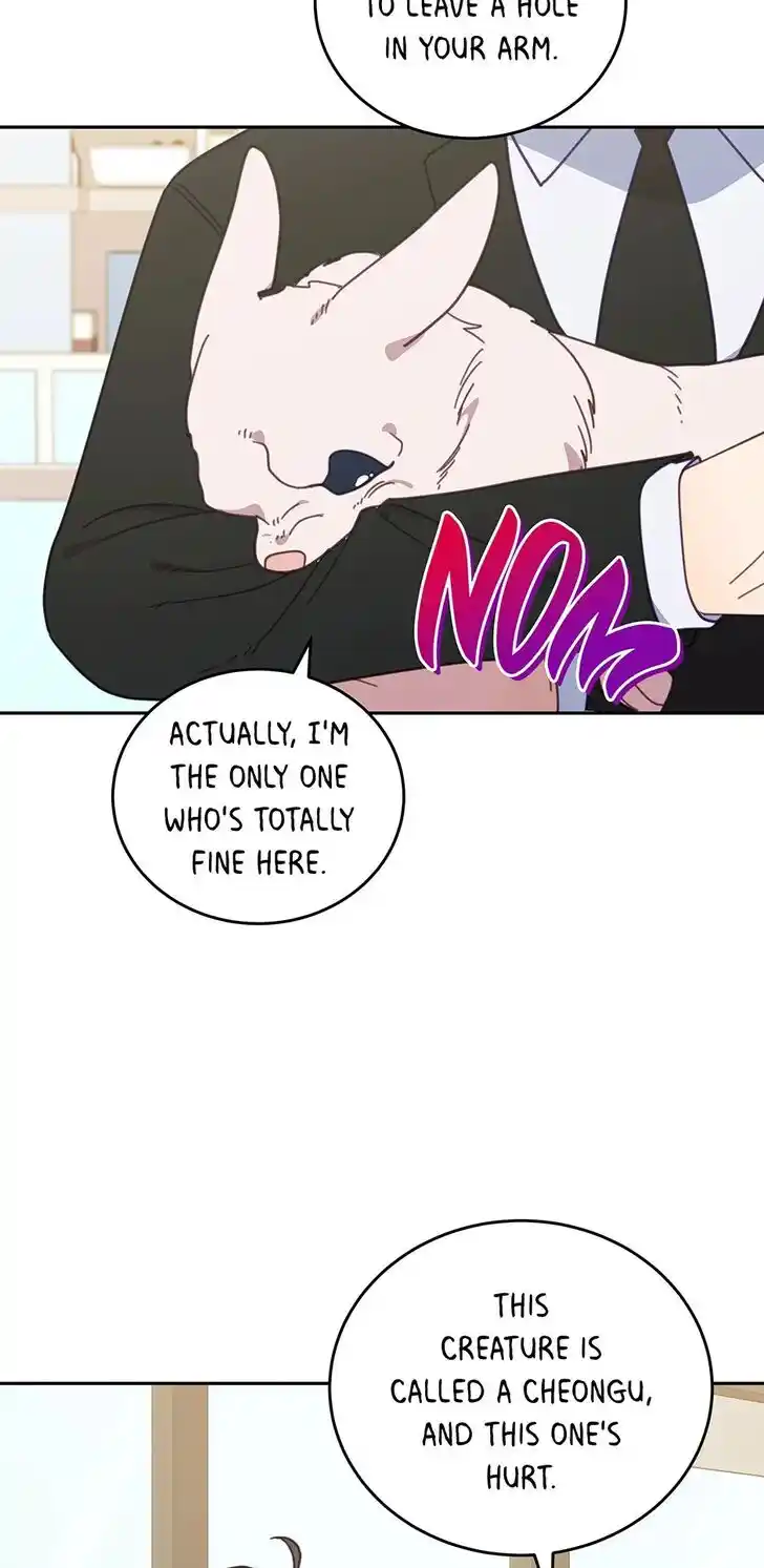 An Animal Hospital in the Border Area Ch.115