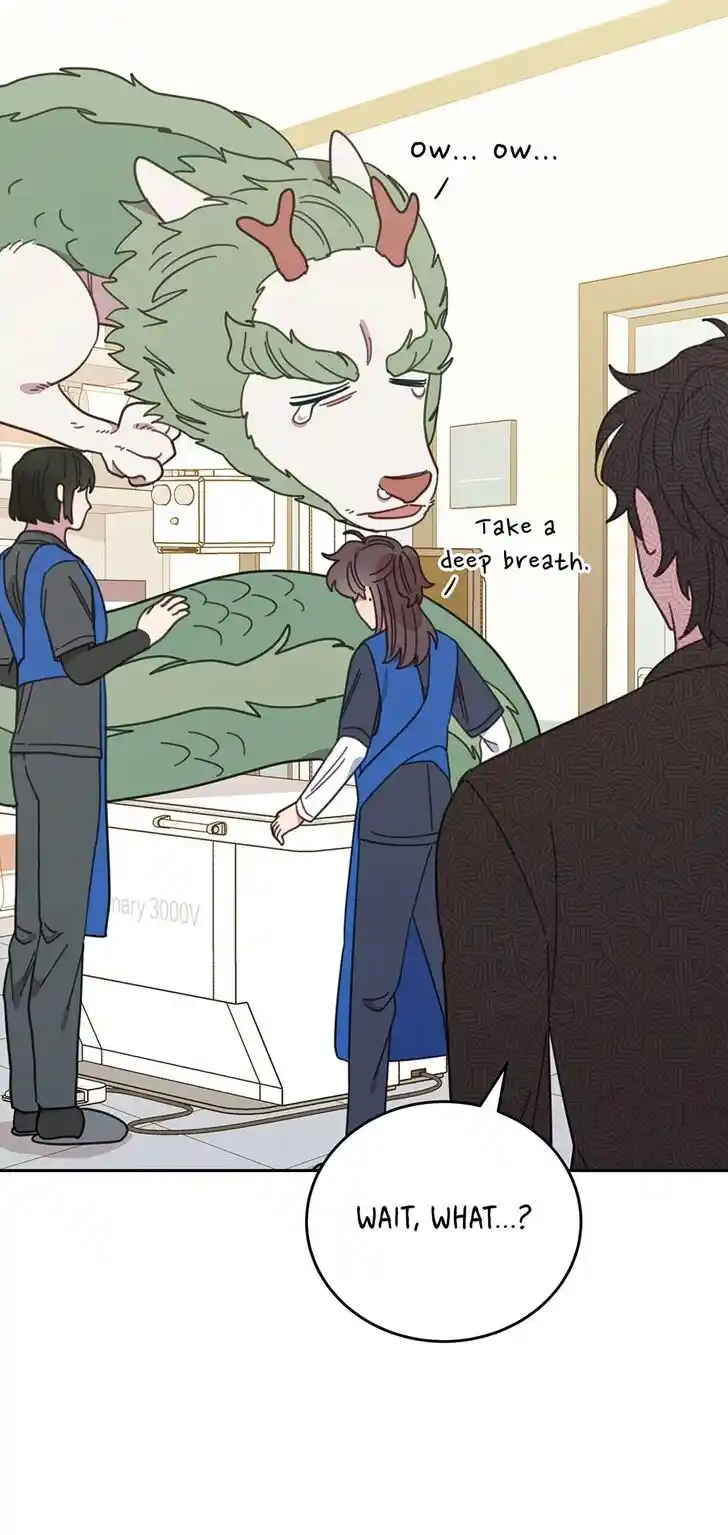 An Animal Hospital in the Border Area Ch.116