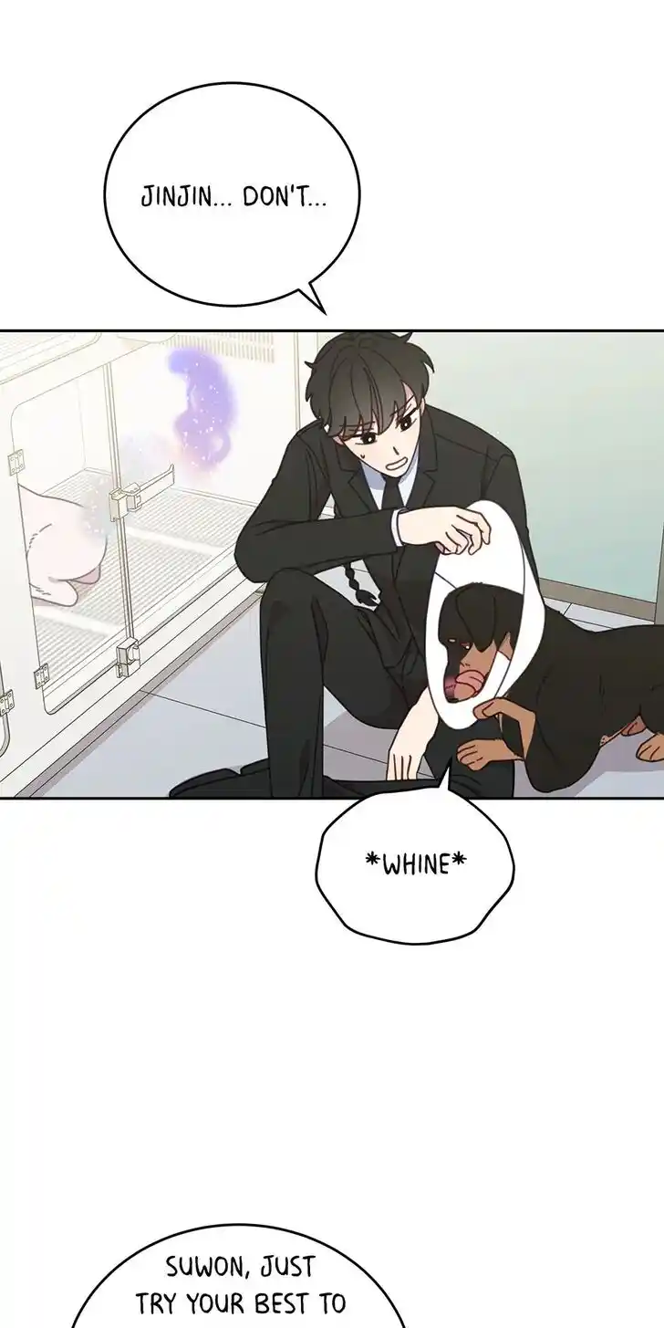 An Animal Hospital in the Border Area Ch.116