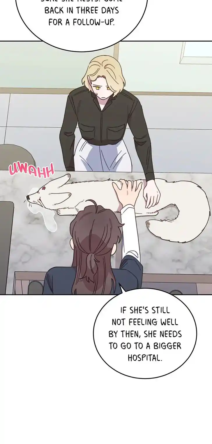 An Animal Hospital in the Border Area Ch.116