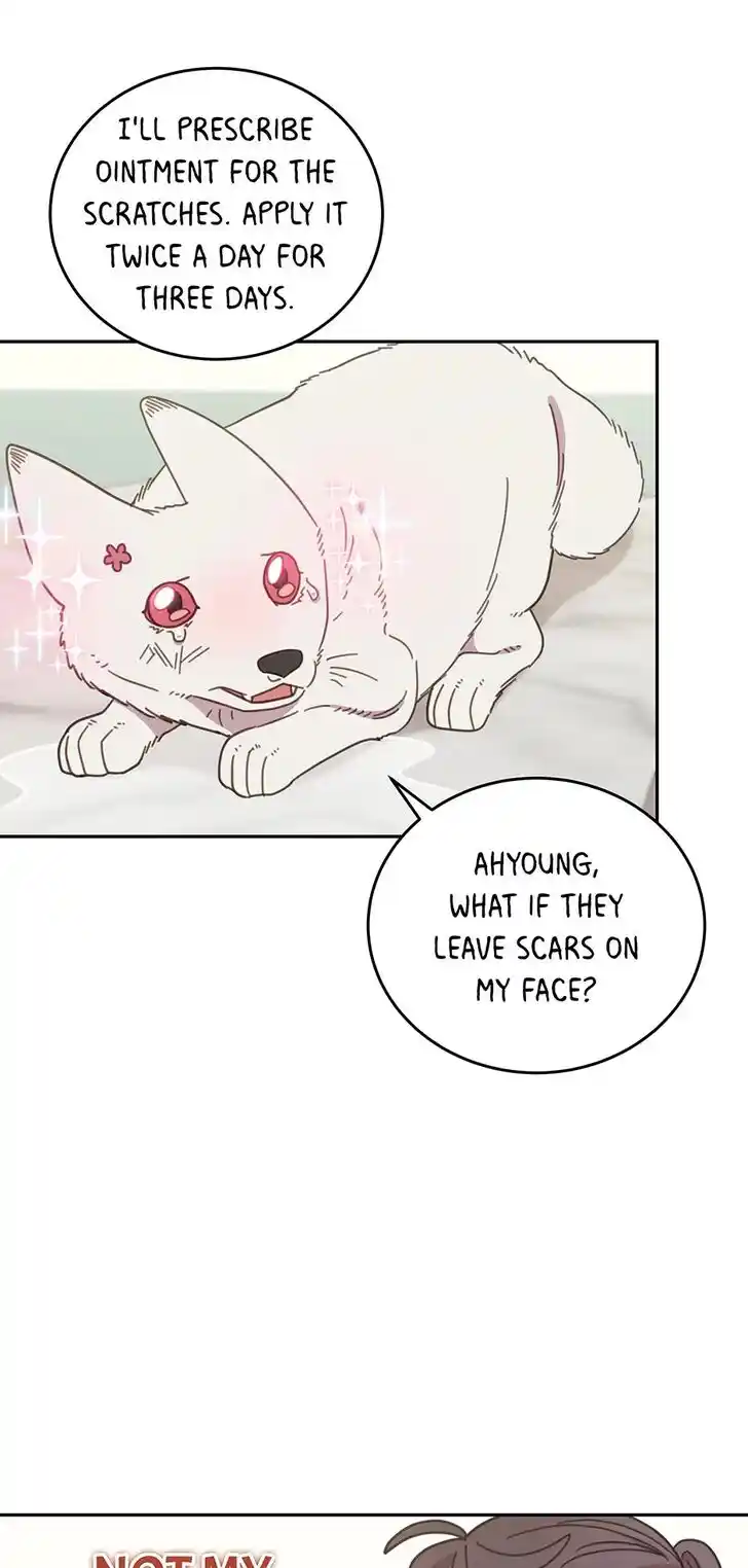 An Animal Hospital in the Border Area Ch.116