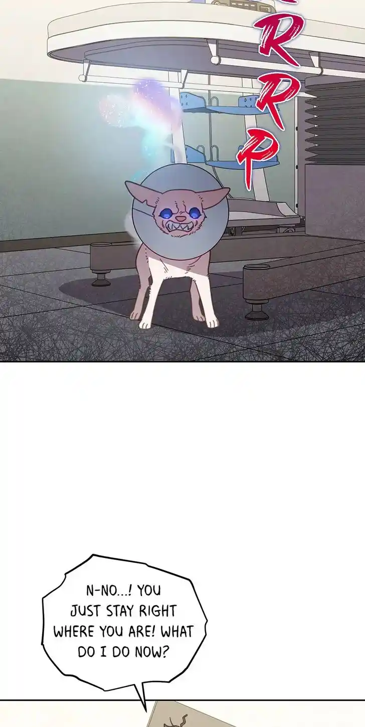 An Animal Hospital in the Border Area Ch.116