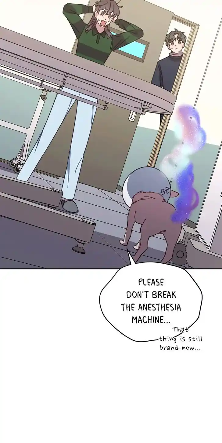 An Animal Hospital in the Border Area Ch.116