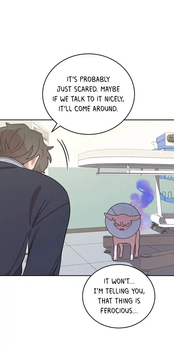 An Animal Hospital in the Border Area Ch.116