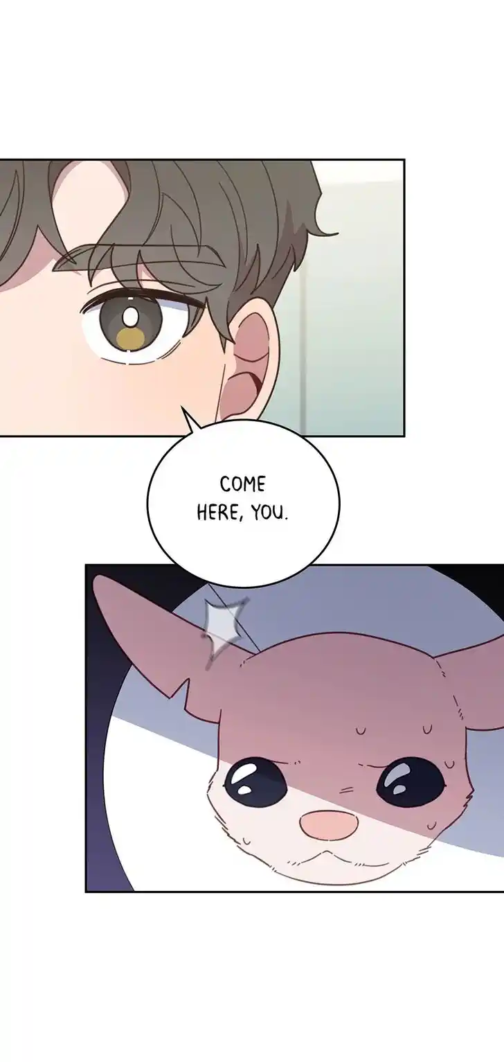 An Animal Hospital in the Border Area Ch.116