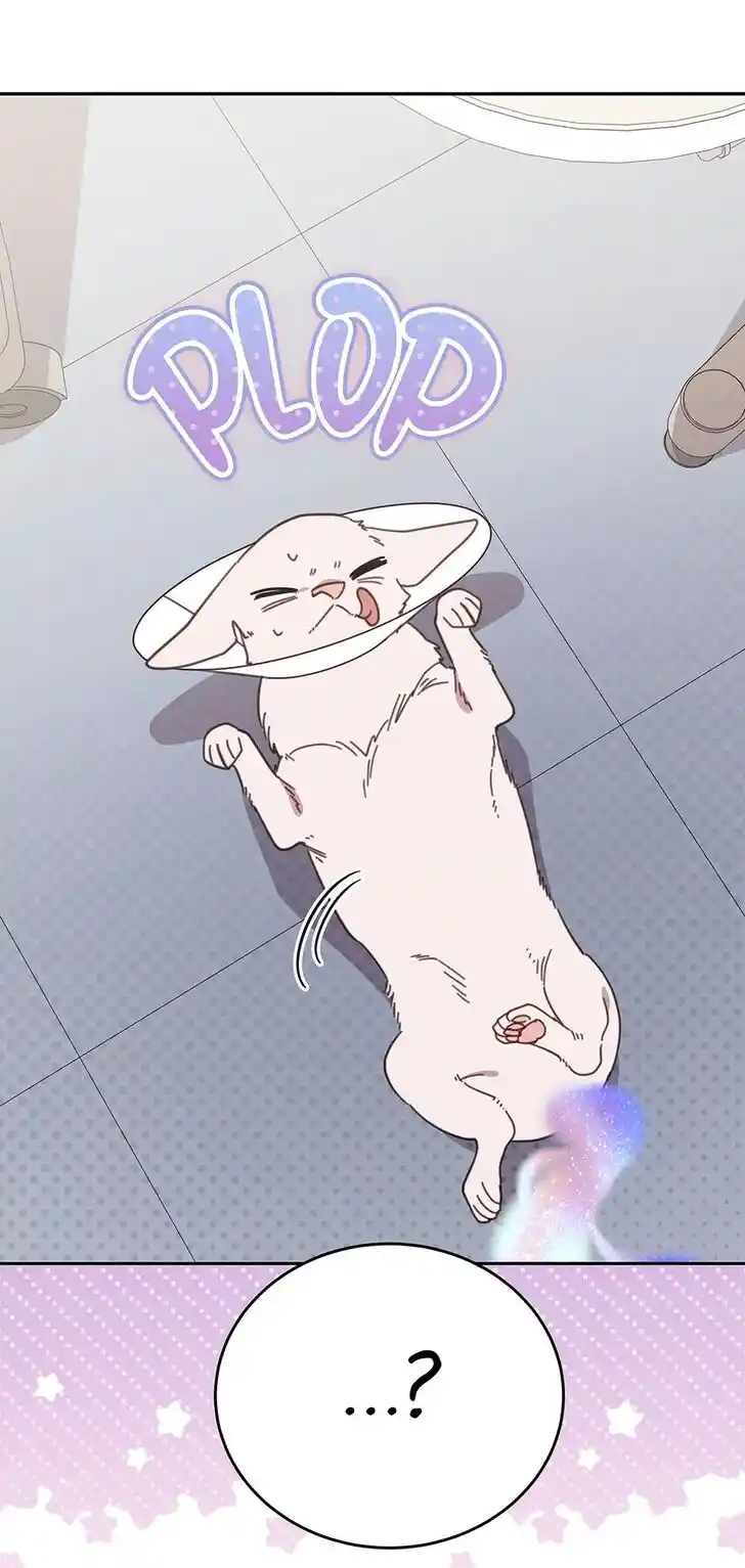 An Animal Hospital in the Border Area Ch.116