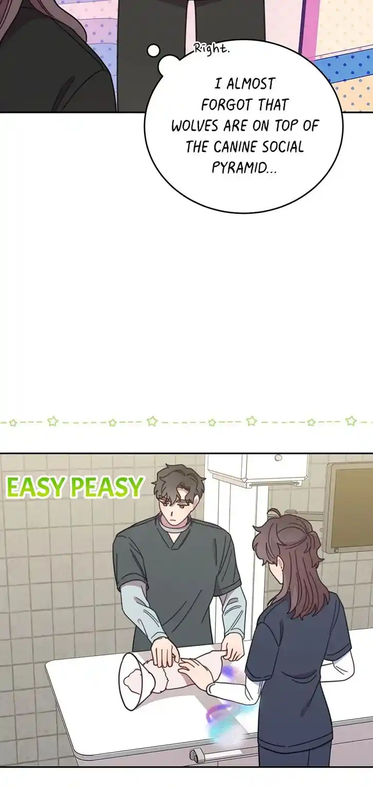 An Animal Hospital in the Border Area Ch.116