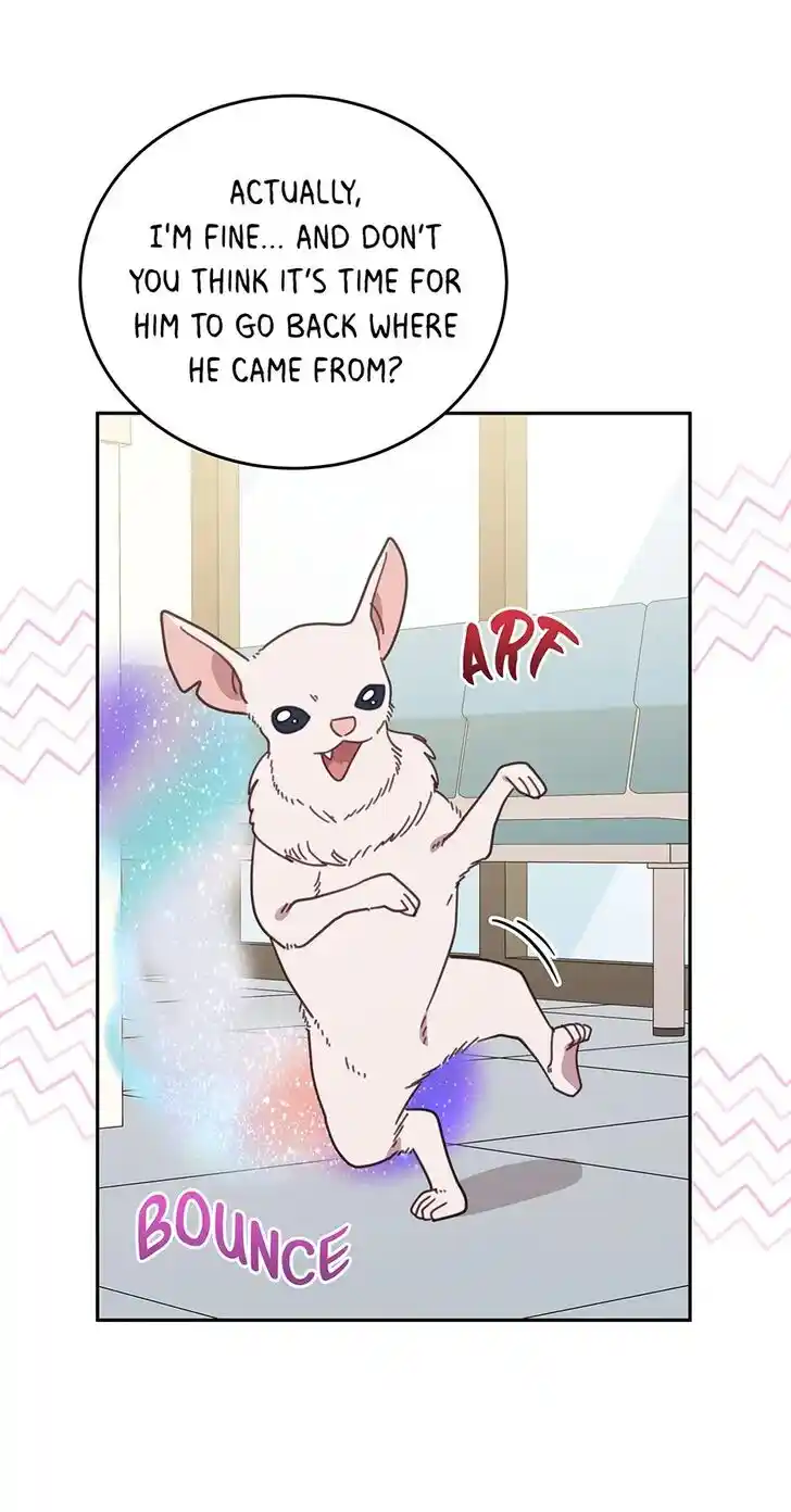 An Animal Hospital in the Border Area Ch.117