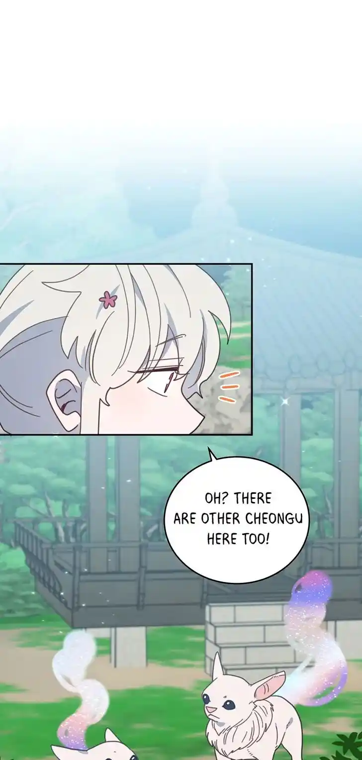 An Animal Hospital in the Border Area Ch.117