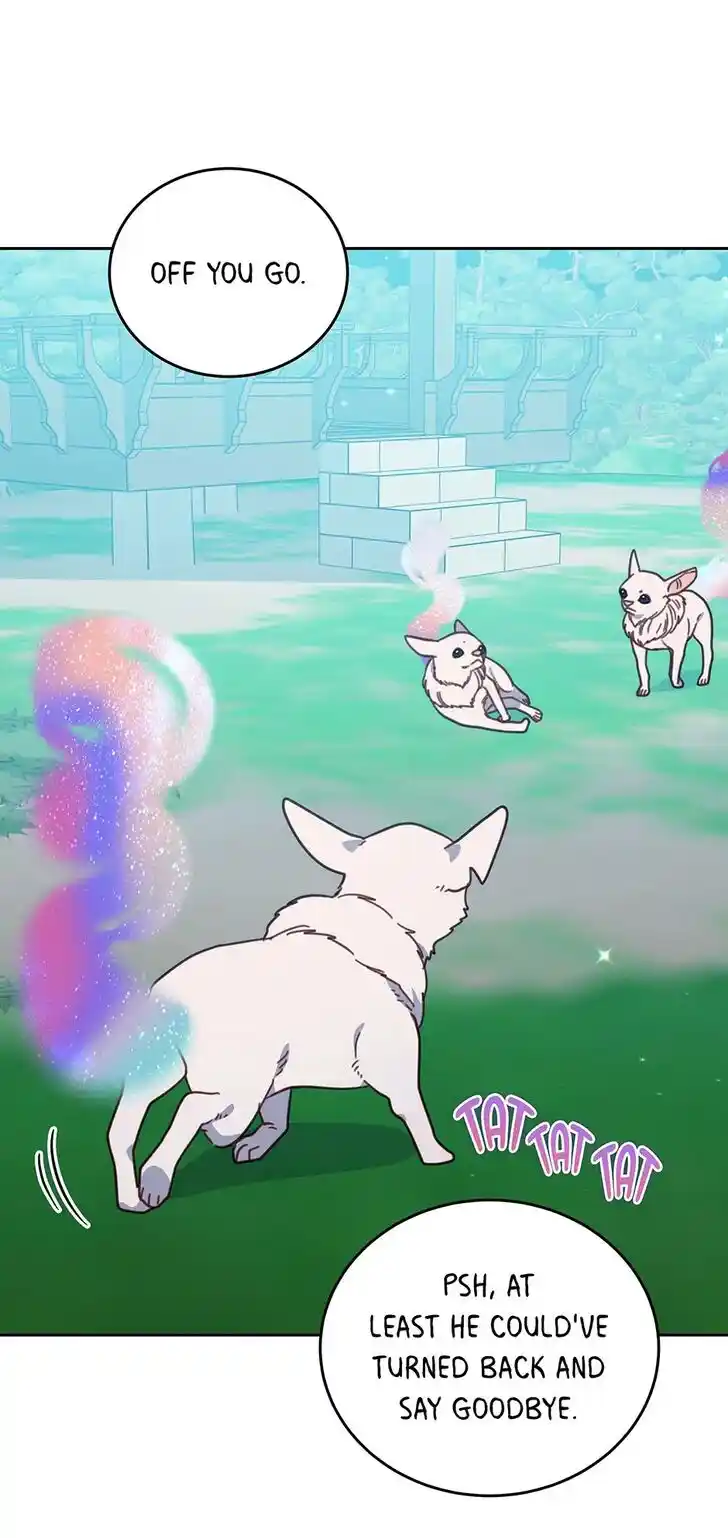 An Animal Hospital in the Border Area Ch.117