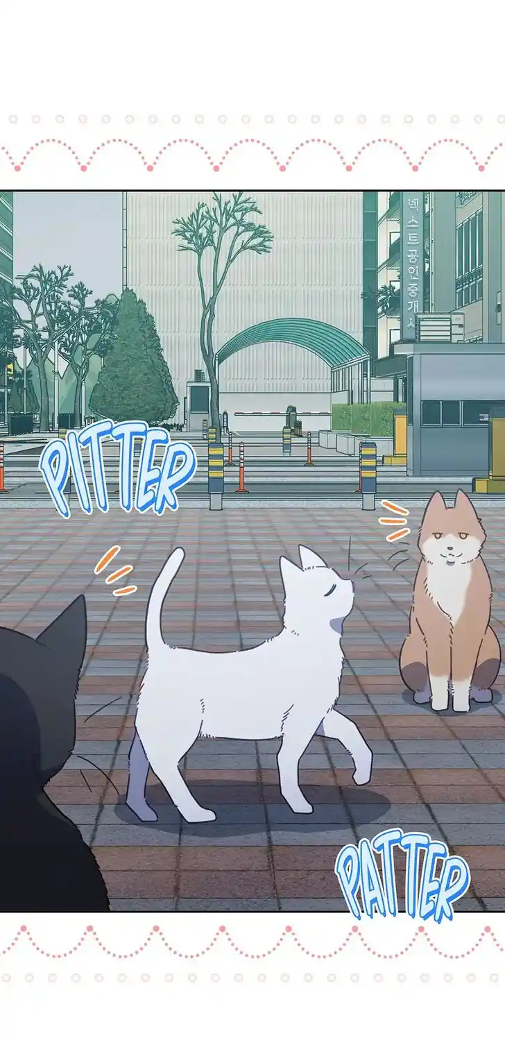 An Animal Hospital in the Border Area Ch.118