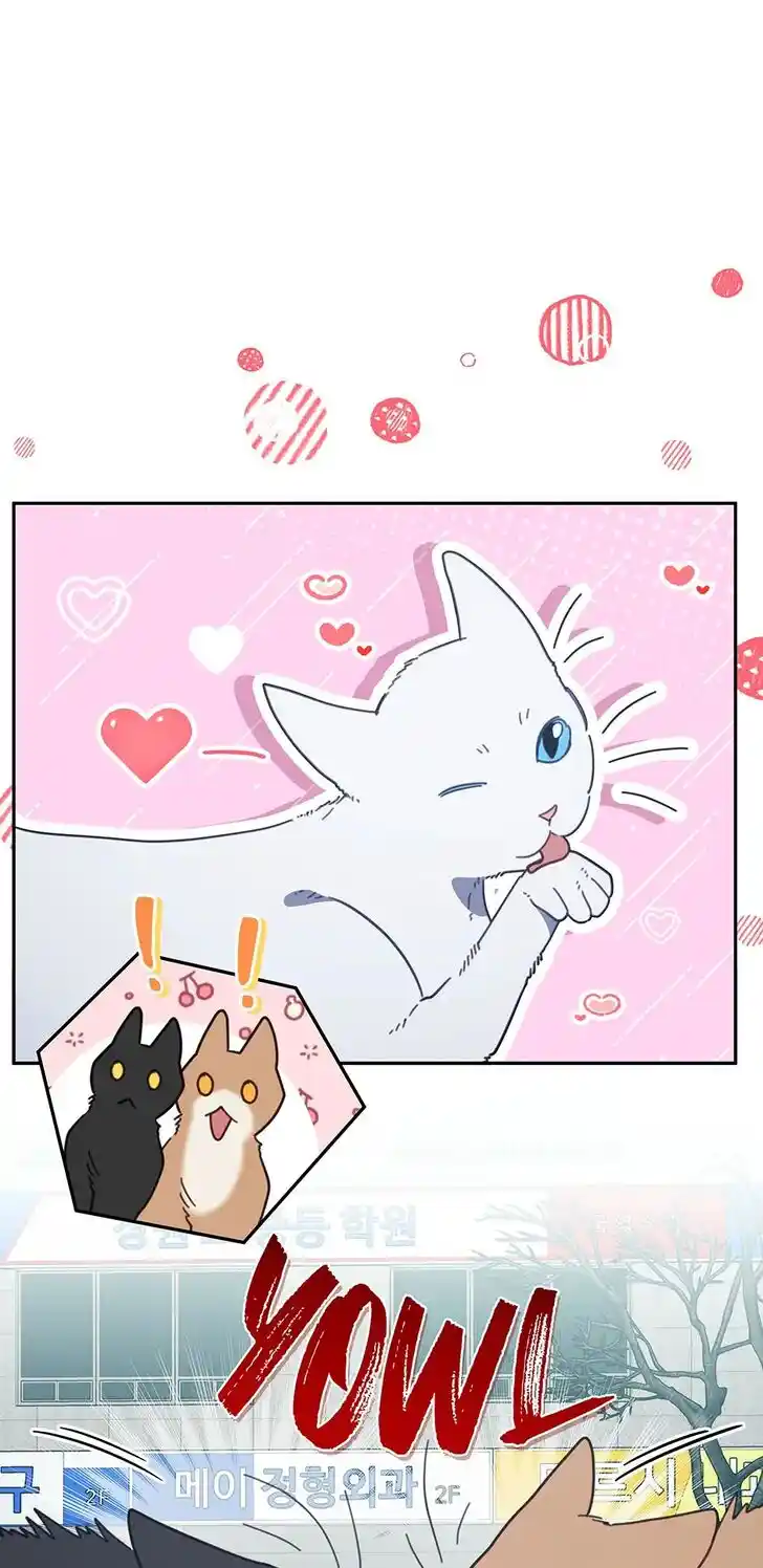 An Animal Hospital in the Border Area Ch.118