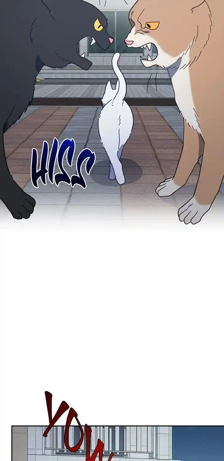 An Animal Hospital in the Border Area Ch.118