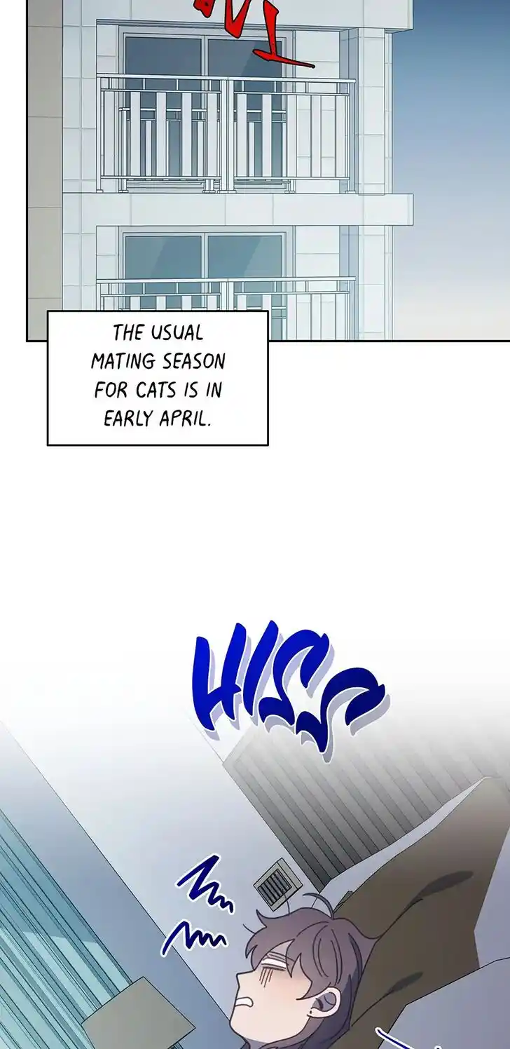 An Animal Hospital in the Border Area Ch.118