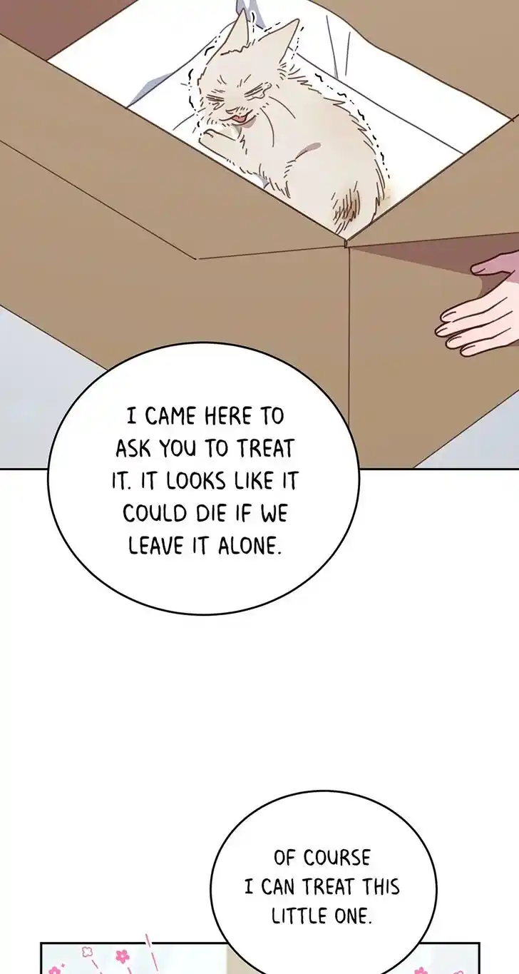 An Animal Hospital in the Border Area Ch.118