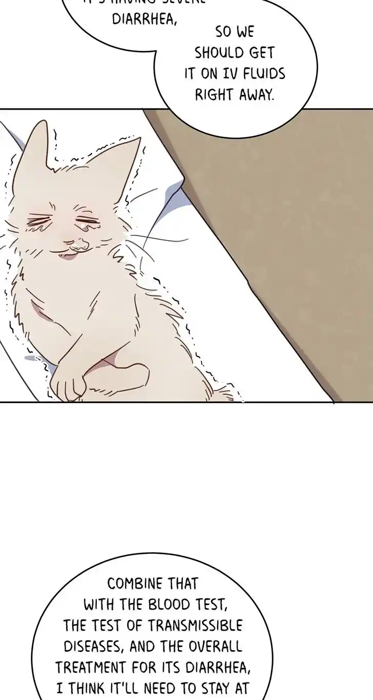 An Animal Hospital in the Border Area Ch.118