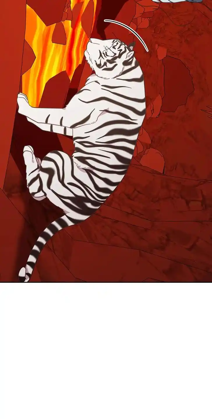 An Animal Hospital in the Border Area Ch.119