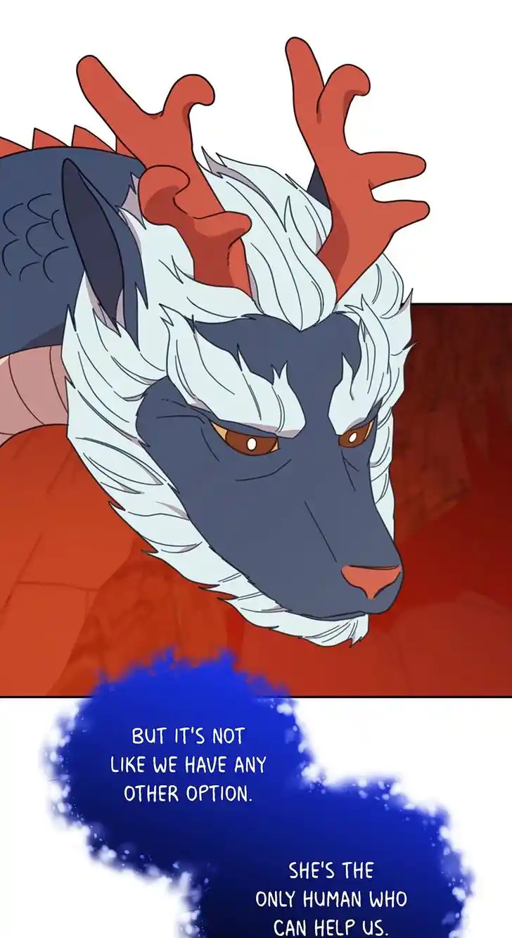 An Animal Hospital in the Border Area Ch.119