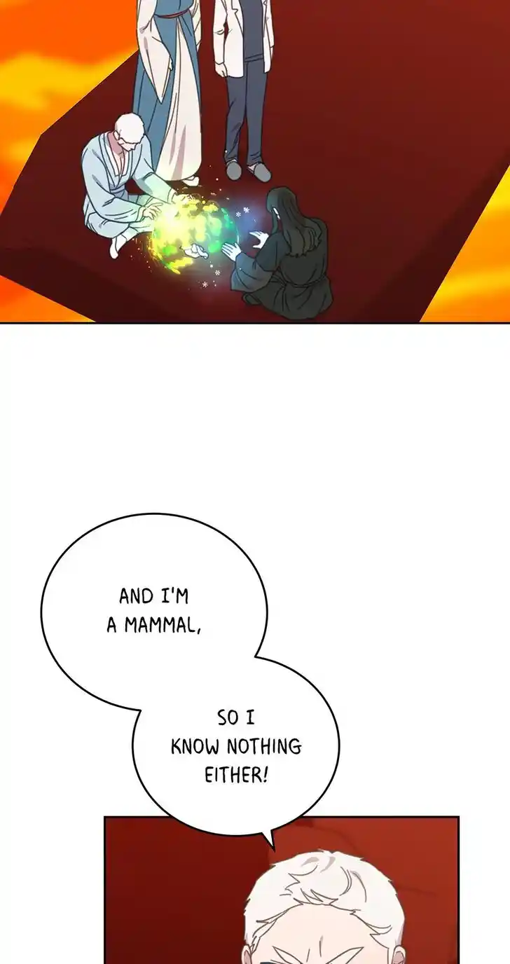 An Animal Hospital in the Border Area Ch.120