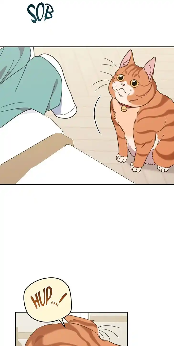 An Animal Hospital in the Border Area Ch.121