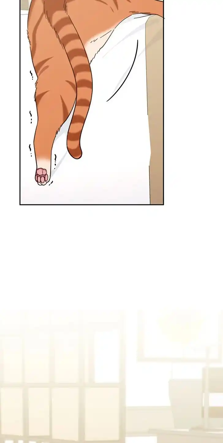 An Animal Hospital in the Border Area Ch.121