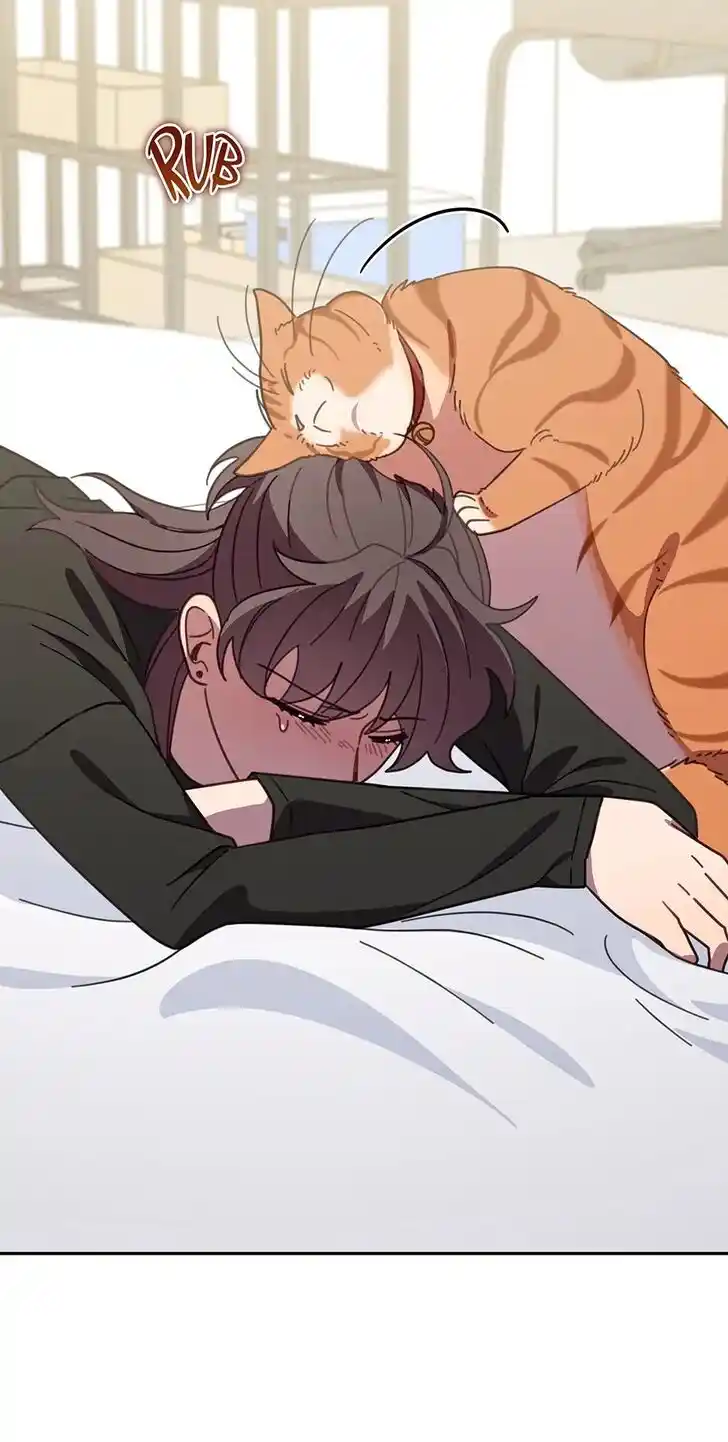 An Animal Hospital in the Border Area Ch.121