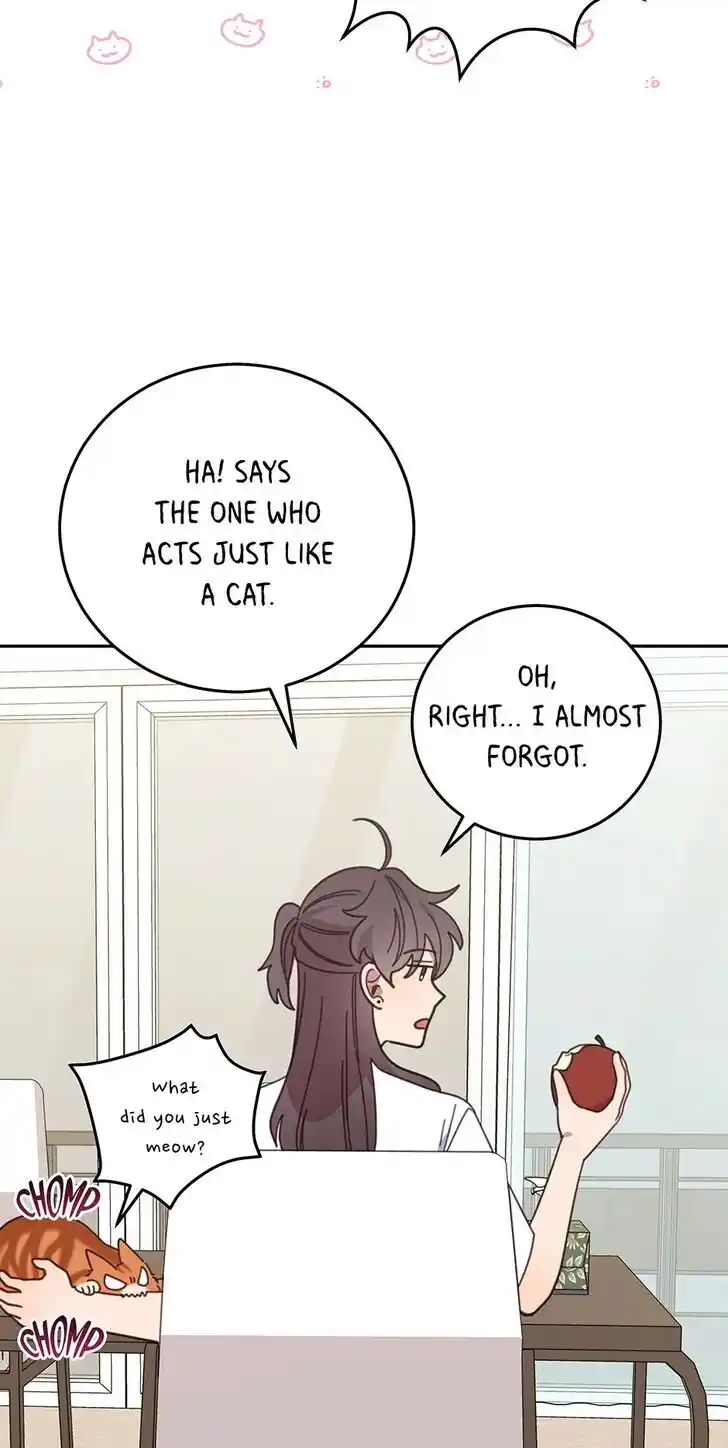 An Animal Hospital in the Border Area Ch.123