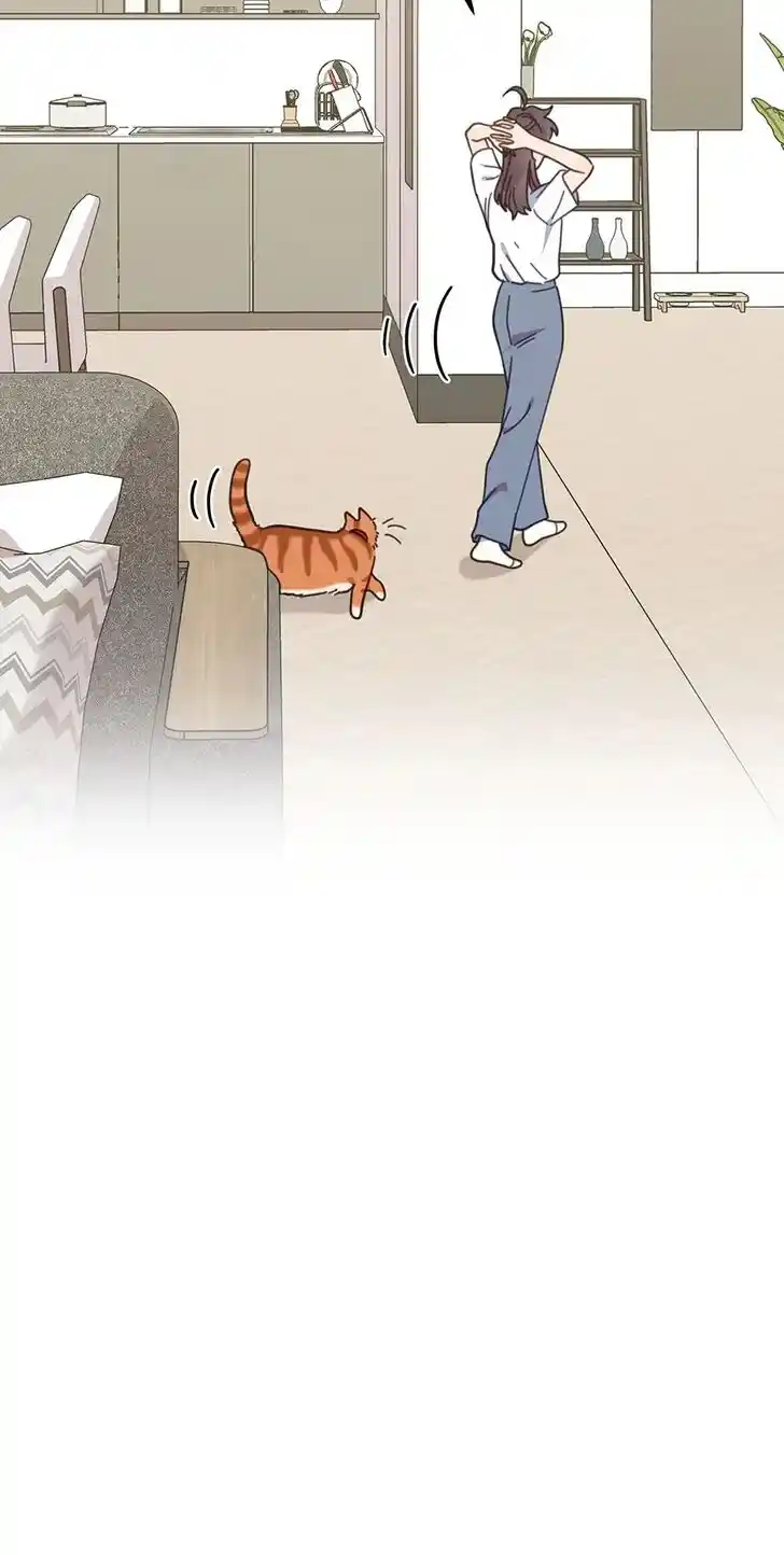 An Animal Hospital in the Border Area Ch.123