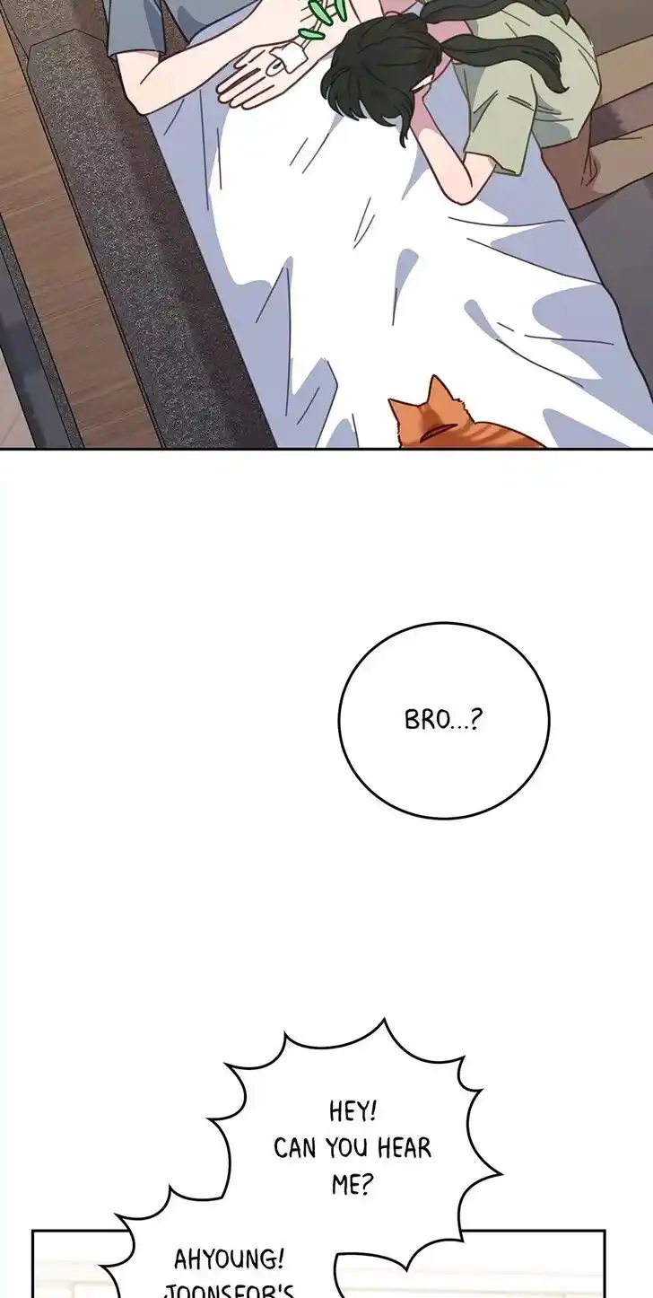 An Animal Hospital in the Border Area Ch.125